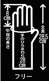 フリー