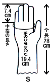 S