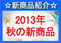 �u2013�N�t�̐V���i�v�Љ�y�[�W�ցB