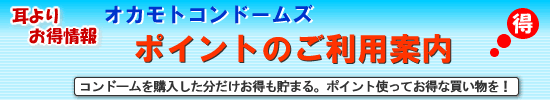 �|�C���g�̂����p�ē�